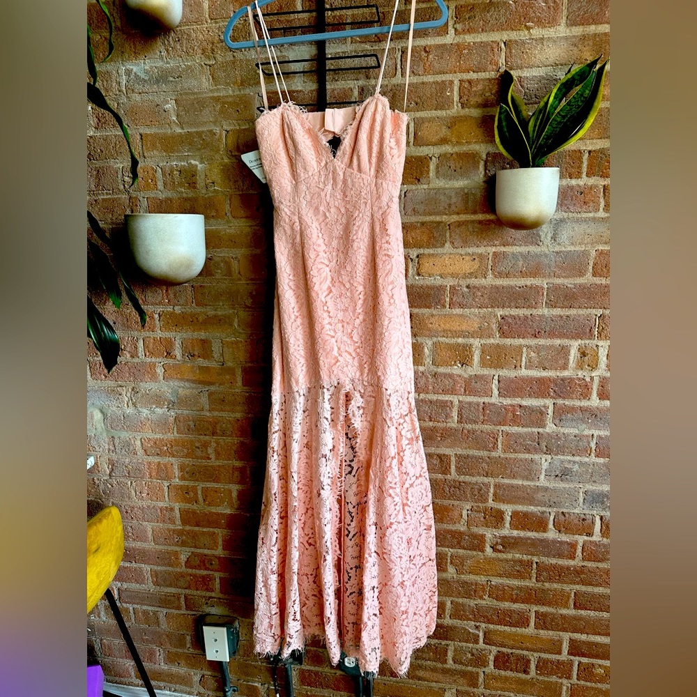 Fame & Partner Brand New Pink Lace Maxi Dress